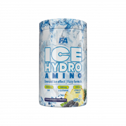 FA ICE Hydro Amino 480 g