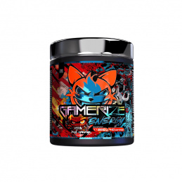 GAMERIZE Energy 280 g