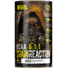 Nuclear Nutrition Chain Reaction BCAA 8:1:1 400 g