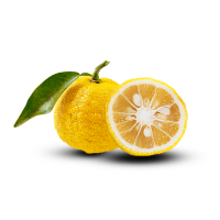 https://fasklep.pl/c/219-category_default/default.jpg?refresh=20260808060254