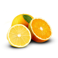 https://fasklep.pl/c/235-category_default/default.jpg?refresh=20250707144921